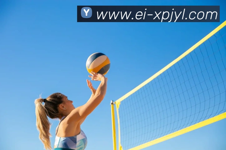 澳门新葡京娱乐服务体系